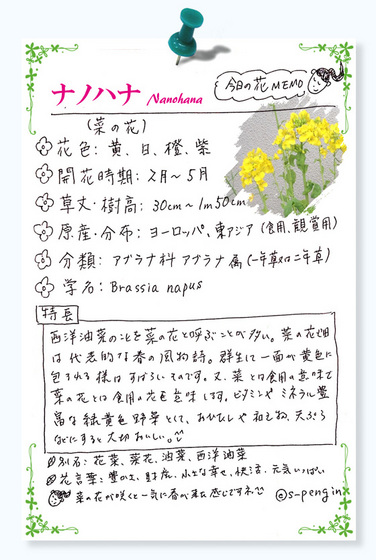 170ＭＥＭＯ葉の花.jpg